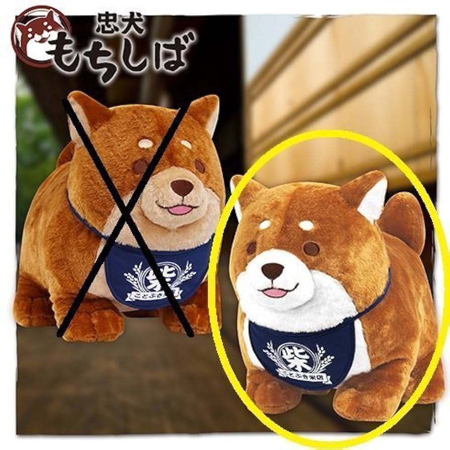 Amazon.co.jp: 忠犬もちしば スクっとBIGぬいぐるみ 「おかか